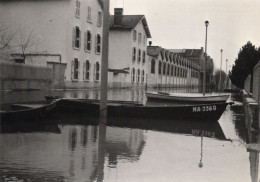 Macon - Inondations 1981 - Rue De La République - Überschwemmungen