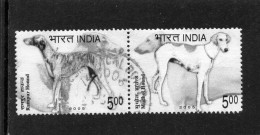 2005 India - Cani Razze Indiane - Gebraucht