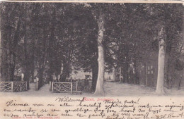 4844105Assen, Drostenlaan. (poststempel 1905)(zie Randen Achterkant) - Assen