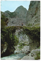 PUENTE DE LA JAYA SOBRE EL RIO CARES, CAMINO DE BULNES.- PICOS DE EUROPA.- BULNES - ASTURIAS.- ( ESPAÑA). - Asturias (Oviedo)