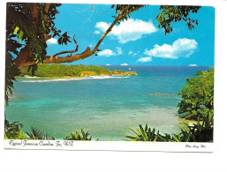 Typical Jamaican Coastline Jamaica - Jamaïque