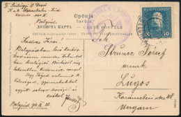 1916 Képeslap Belgrádból Lugosra - Other & Unclassified