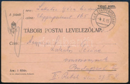 1915 Tábori Posta Levelezőlap / Field Postcard "EP 165" - Altri & Non Classificati