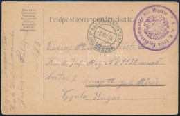 1916 Tábori Posta Levelezőlap / Field Postcard "K.u.k. Ernte Rayonskommando VIII. Mietkie" + "EP HRUBIESZOW B" - Otros & Sin Clasificación