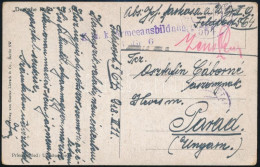 1918 Tábori Posta Képeslap "FP 564" - Altri & Non Classificati