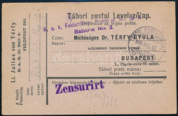 1918 Tábori Posta Levelezőlap "K.u.k. Feldartillerie Regiment No.10." + "TP 290" - Sonstige & Ohne Zuordnung