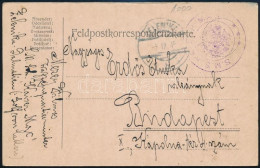 1915 Tábori Posta Levelezőlap / Navy Mail Postcard "S.M.S. KAISER MAX" + "ZELENIKA" - Sonstige & Ohne Zuordnung