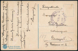 1916 Tábori Posta Képeslap "S.M.S. WILDFANG" - Andere & Zonder Classificatie