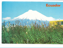 Ecuador El Cotopaxi Equateur - Ecuador