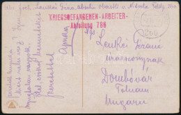 1917 Tábori Posta Képeslap Piros "KRIEGSSCEFANGENEN - ARBEITER- / Abteilung 786" + "K.u.K. ELDPOSTAMT 260" - Other & Unclassified