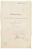 1910 Az S.M.S. Franz Ferdinand Kimutatása Az 1910 Májusában Fedélzetre Lépett Személyekről. A Parancsnok Nevében Marius  - Autres & Non Classés