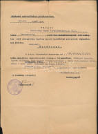 1942 Karpaszományos Kinevezés értesítő Levele - Autres & Non Classés