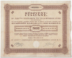 Budapest 1923. "Dr. Just-féle Izzólámpa és Villamossági Gyár Részvénytársaság" Részvényutalványa 25db Részvényről összes - Unclassified