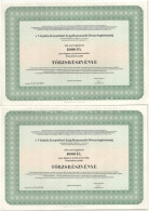 Budapest 1996. "A Virginia Kárpótlási Jegy Hasznosító Részvénytársaság' Törzsrészvénye 1000Ft-ról Szelvényekkel (3x) Sor - Unclassified