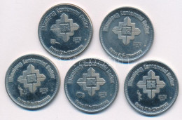 Kanada / Winnipeg 1974. 1D Cu-Ni "Winnipeg Centennial Dollar / Value $1 In Winnipeg" (5x) T:AU,XF Canada / Winnipeg 1974 - Ohne Zuordnung