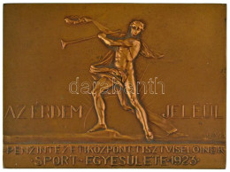 Gács Lajos (1905-1981) 1937. "Pénzintézeti Központ Tisztviselőinek Sport Egyesülete 1923. - Az érdem Jeléül" Bronz Emlék - Unclassified