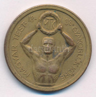 1935. "Magyar Testgyakorlók Köre - MTK / Bátorság, Buzgalom, Barátság" Bronz Díjérem, Hátoldalán "1935" Gravírozással (4 - Ohne Zuordnung