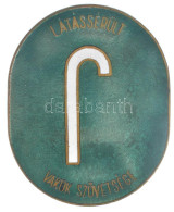 ~1930. "Látássérült - Vakok Szövetsége" Zománcozott Bronz Jelvény (41x50mm) T:AU Apró Zománchiba / Hungary ~1930. "Visua - Sin Clasificación