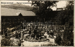 ** T3/T4 Boksánbánya, Németbogsán, Deutsch-Bogsan, Bocsa Montana; Parcul Strandului "Paradis" / Fürdő Park / Spa Park. P - Ohne Zuordnung