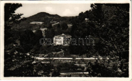 T2 1941 Csucsa, Ciucea; Volt Ady Kastély. Marosi József Kiadása / Castle - Ohne Zuordnung