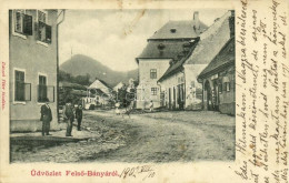 T2/T3 1902 Felsőbánya, Baia Sprie; Utca, Róth Mihály, Sárody Sándor üzlete. Kiadja Dacsek Péter / Street View, Shops (fl - Unclassified