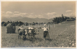 * T3 Hátszeg, Wallenthal, Hateg; ökrös Szekér, Erdélyi Folklór / Transylvanian Folklore, Ox Cart. Photo (vágott / Cut) - Unclassified