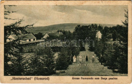 ** T3 Homoród, Honterusbad, Grosse Promenade Vom Berge Gesehen. Johann Weiss, F. Theil / Nagy Sétány A Fürdőben / Spa Pr - Zonder Classificatie