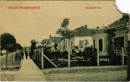 T4 1909 Aranyosmarót, Zlaté Moravce; Tisztviselő Telep, Villák. W. L. (?) 409. Kiadja Eisenberg Károly / Officers' Colon - Ohne Zuordnung