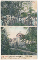 * T4 1913 Pálóc, Pavlovce Nad Uhom; Hadik Kastély, Erdő / Castle, Forest (fa) - Zonder Classificatie