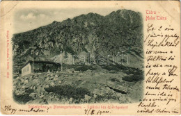 * T3 1900 Tátra, Magas-Tátra, Vysoké Tatry; Schlesierhaus U. Blumengartenturm / Sziléziai Ház, Virágoskerttorony / Sliez - Ohne Zuordnung