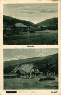 T2/T3 Kékesfüred, Sinjak, Synyak, Synjak (Bereg); Fürdőtelep, Vendéglő, Autó. Fliegl Mátyás Kiadása / Spa, Restaurant, A - Non Classificati