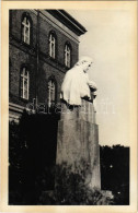 * T2 Ungvár, Uzshorod, Uzhhorod, Uzhorod; Dayka Gábor Szobra / Statue, Monument. Photo - Unclassified
