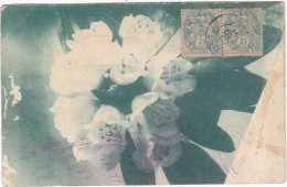 CHINE CHINA : Paire Type Blanc 5c Sur Carte Postale . Oblitération Pékin 1907 - Cartas & Documentos