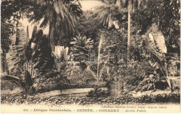 ** T1 Conakry, Jardin Public / Public Garden - Unclassified