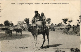 ** T1 Cavor, Chameliers Maures / Camel, Donkeys - Non Classés