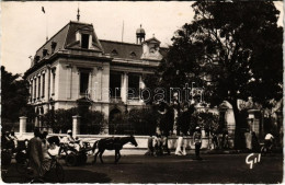 * T1 Dakar, L'Hotel De Ville / Town Hall, Horse-drawn Carriage, Photo - Unclassified