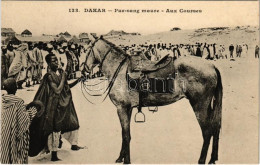 ** T1 Dakar, Pur-sang Maure, Aux Courses / Moorish Thoroughbred - Non Classificati