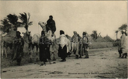 ** T1 Saint Louis, Maures Arrivant / Camels, Moors, African Folklore - Sin Clasificación