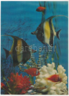 ** T1 Halak. 3D Dimenziós Képeslap / Fish - 3D Dimensional Modern Postcard - Non Classificati