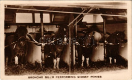 T2/T3 1929 Broncho Bill's Performing Midget Ponies (EK) - Unclassified