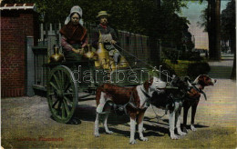 ** T2/T3 Laitiere Flamande / Flemish Dairy, Dutch Folklore, Dogs, Milk Seller's Cart Drawn By Dogs (EK) - Non Classés
