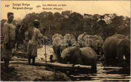 T2 1924 Congo Belge. Les éléphants Au Bain / Belgisch-Congo. Badende Olifanten / Belgian Congolese Folklore, Bathing Ele - Sin Clasificación