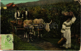 T3 1913 Salutari Din Romania. Culesul Viilor / Romanian Folklore, Grape Harvest (EB) - Unclassified