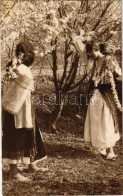 T2 1929 Vederi Din Romania - Port National Roman / Romanian Folklore. Din Colectia Radu Al. Bellio - Non Classificati