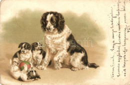 T3/T4 1899 Dog With Puppies, Litho (EB) - Non Classificati