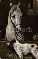 T2/T3 1905 Horse With Dog. S. Hildesheimer & Co. No. 5262. S: A. Müller - Non Classificati