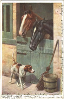 T2 1919 Horses And Dog. M. Munk Nr. 1165. - Non Classificati