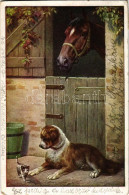 T2/T3 1933 Dog With Horse And Cat. M. M. Nr. 1165. (EK) - Ohne Zuordnung