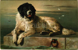 * T2/T3 A Distinguished Member Of The Humane Society. Stengel & Co. Litho S: Landseer (EK) - Unclassified