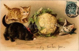 T2/T3 1904 Cats Playing With A Cauliflower. TCV Card. Litho (EK) - Sin Clasificación